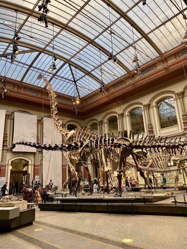 Berlin, Naturkundemusem, Blick in die große Eingangshalle mit Dinosaurier Skeletten